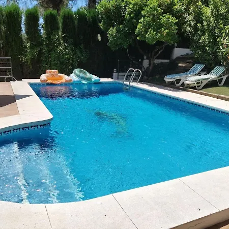Flamingo Las Jaras