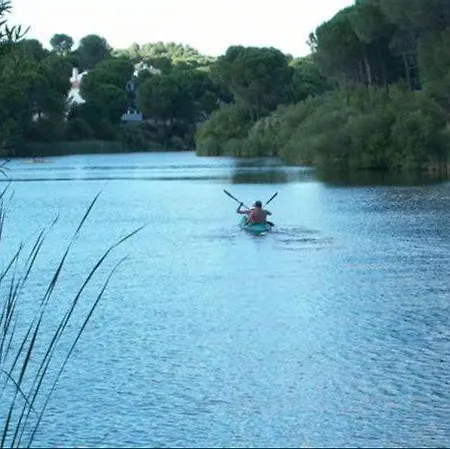 Flamingo * Las Jaras